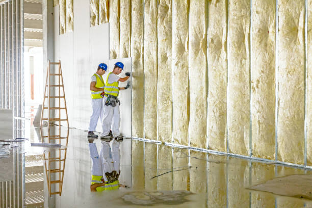 Best Geographic-Specific Insulation Services in Comfort, TX
